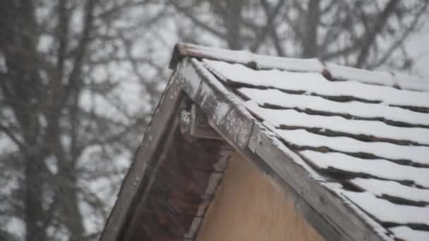 Зимний Пейзаж Городской Крыши Сильный Снегопад — стоковое видео