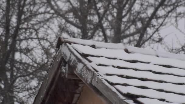 Winterlandschap Van Stad Dak Zware Sneeuwval — Stockvideo