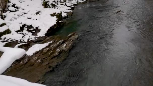 Rivière Montagne Près Rocher Dans Une Forêt Hiver — Video