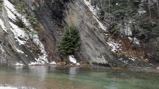Górska Rzeka Pobliżu Skały Zimowym Lesie — Wideo stockowe