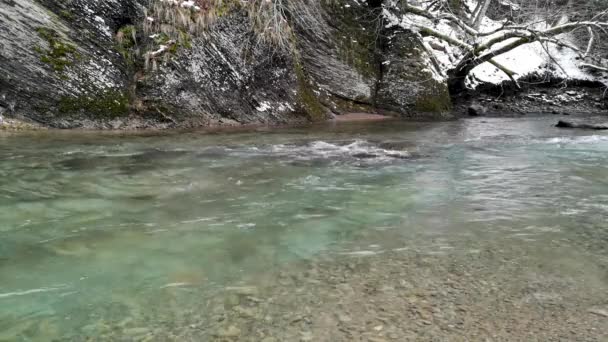 Gebirgsfluss Der Nähe Eines Felsens Winterwald — Stockvideo