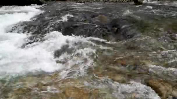 Kış Ormanındaki Bir Kayanın Yanındaki Dağ Nehri — Stok video