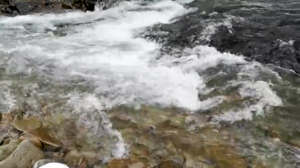 Kış Ormanındaki Bir Kayanın Yanındaki Dağ Nehri — Stok video