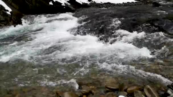 Rio Montanha Perto Uma Rocha Uma Floresta Inverno — Vídeo de Stock