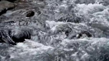 Sisli bir dağ ormanında akarsu