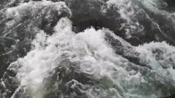 Cours d'eau en pleine mer dans une forêt de source montagneuse