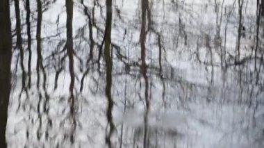 Dağ bahar ormanında küçük bir göl