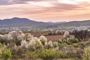 Dağlık kırsal bölgenin ilkbahar manzarası