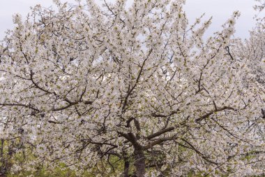 Terk edilmiş eski bir pınarda 