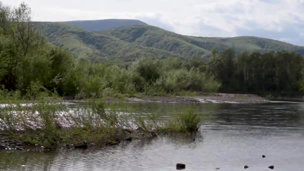 Czas Upływu Wiosny Górski Krajobraz Rzeki — Wideo stockowe