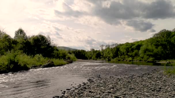 Górska Rzeka Słoneczny Dzień Krajobraz — Wideo stockowe