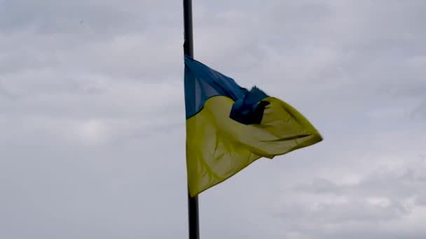 Oekraïense Vlag Met Halve Staf Wind — Stockvideo