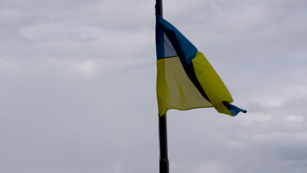 Bandera Ucrania Media Asta Viento — Vídeos de Stock
