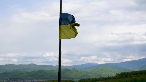 Bandera Ucraniana Media Asta Viento Sobre Fondo Las Montañas — Vídeo de stock