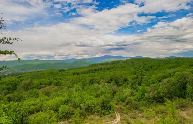 Karpat Dağları 'nın bahar manzarası