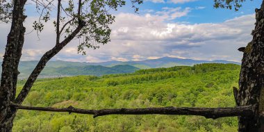 Karpat Dağları 'nın bahar manzarası