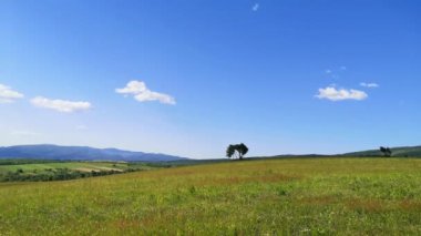 Karpat Dağları vadisindeki köyün bahar manzarası