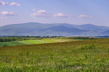 Karpat Dağları vadisindeki köyün bahar manzarası
