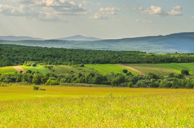 Karpat Dağları vadisindeki köyün bahar manzarası