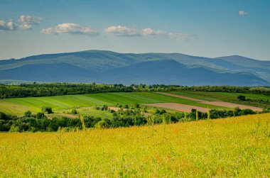 Karpat Dağları vadisindeki köyün bahar manzarası