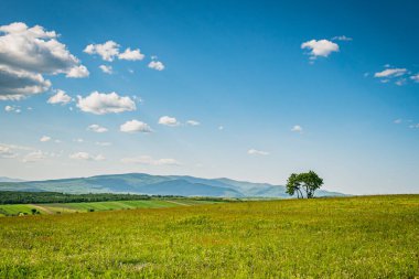 Karpat Dağları vadisindeki köyün bahar manzarası