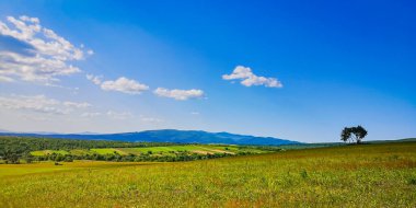 Karpat Dağları vadisindeki köyün bahar manzarası