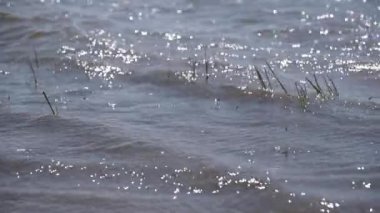 Rüzgarlı bir günde bir gölün manzarası