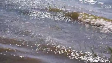 Rüzgarlı bir günde bir gölün manzarası