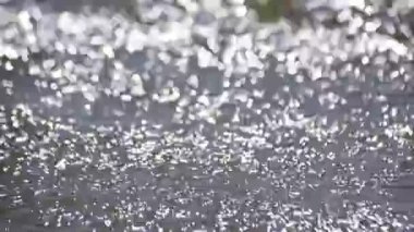 Rüzgarlı bir günde bir gölün manzarası