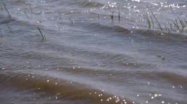 Rüzgarlı bir günde bir gölün manzarası