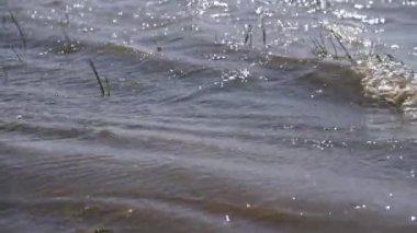 Rüzgarlı bir günde bir gölün manzarası