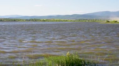 Rüzgarlı bir günde bir gölün manzarası