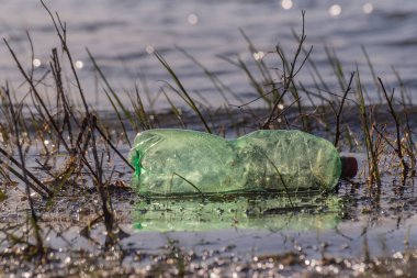 Gölde boş plastik şişe