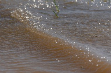 Rüzgarlı bir günde bir gölün manzarası