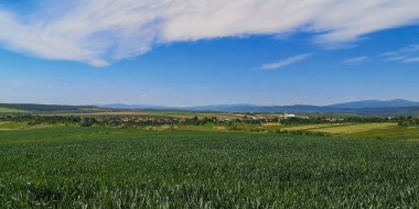 Dağlık bir bölgede yeni bir tahıl tarlası.