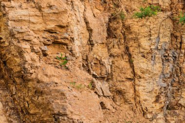 Eski bir taş ocağında taş dokusu