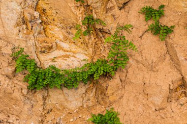 Eski bir taş ocağında taş dokusu