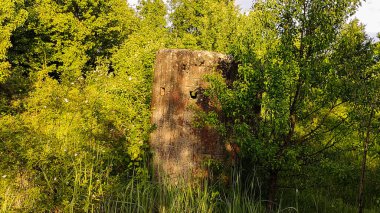 2. Dünya Savaşı 'ndan kalma terk edilmiş askeri sığınak.