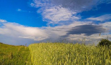 Dağlık bir alanda yeni bir hasat tarlası manzarası