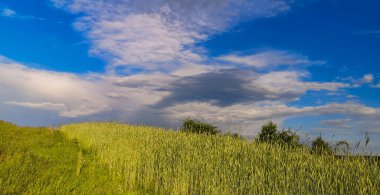 Dağlık bir alanda yeni bir hasat tarlası manzarası