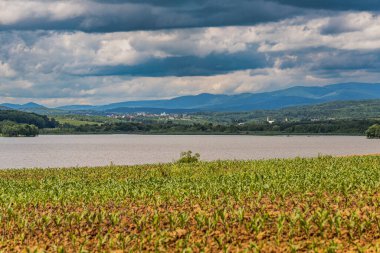 Rüzgarlı bir günde bir gölün manzarası