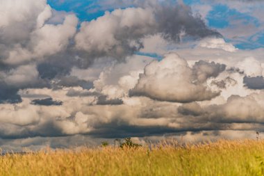 Bir tarlanın üzerinde fırtınalı gökyüzünün yaz manzarası