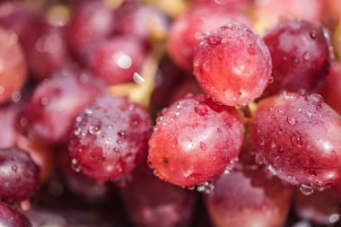 Yağmurda üzümlü üzümlere yakın çekim