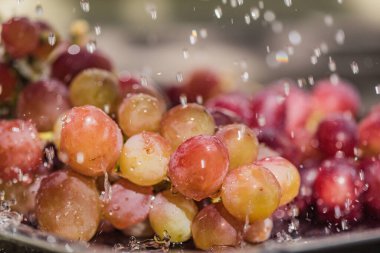 Kızıl Gezegen üzümleri yağmurda çeşitlenir