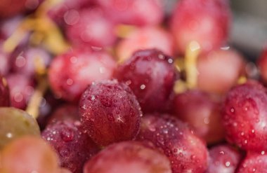 Yağmurda üzümlü üzümlere yakın çekim