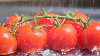 Yapay yağmur damlalarının altında kiraz domatesleri