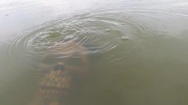 Göldeki Cadılar Bayramı karakteri