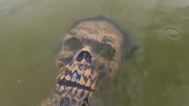 Göldeki Cadılar Bayramı karakteri