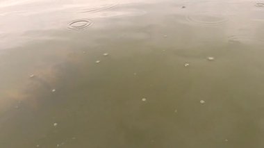 Göldeki Cadılar Bayramı karakteri