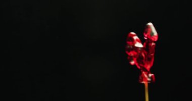 Kuş şeklinde bir lolipopun yakın çekimi